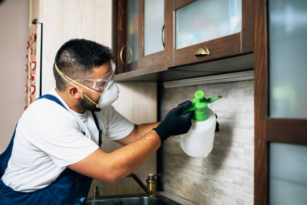 Best Mosquito Control Services  in Biola, CA
