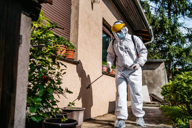 Flea Control Services in Biola, CA