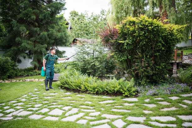 Best Pest Control Near Me  in Biola, CA