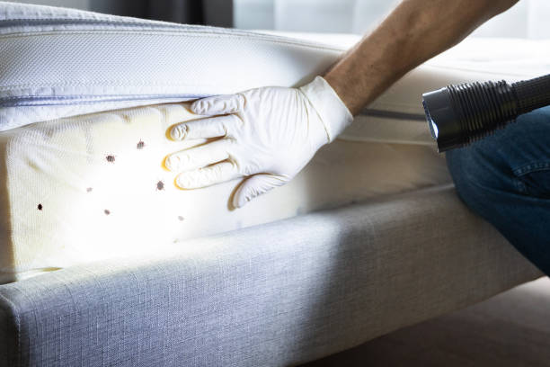 Trusted Biola, CA Pest Control Experts