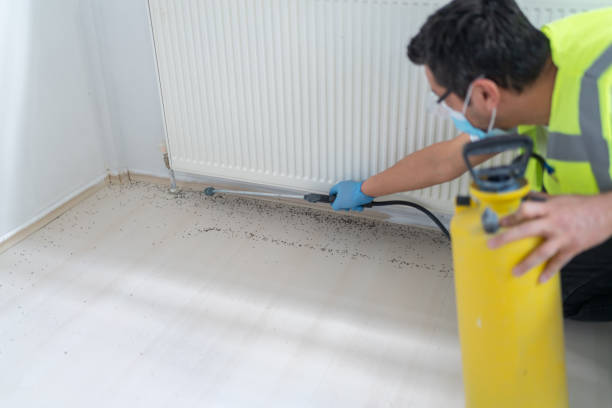 Best Pest Prevention Services  in Biola, CA