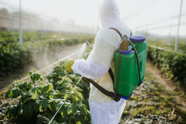 Pest Control for Restaurants in Biola, CA